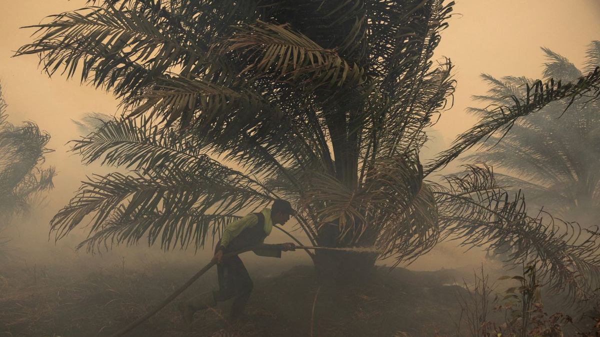 Japan deploys helicopters as hazardous haze engulfs Kalimantan, ISPU exceeds 1,000