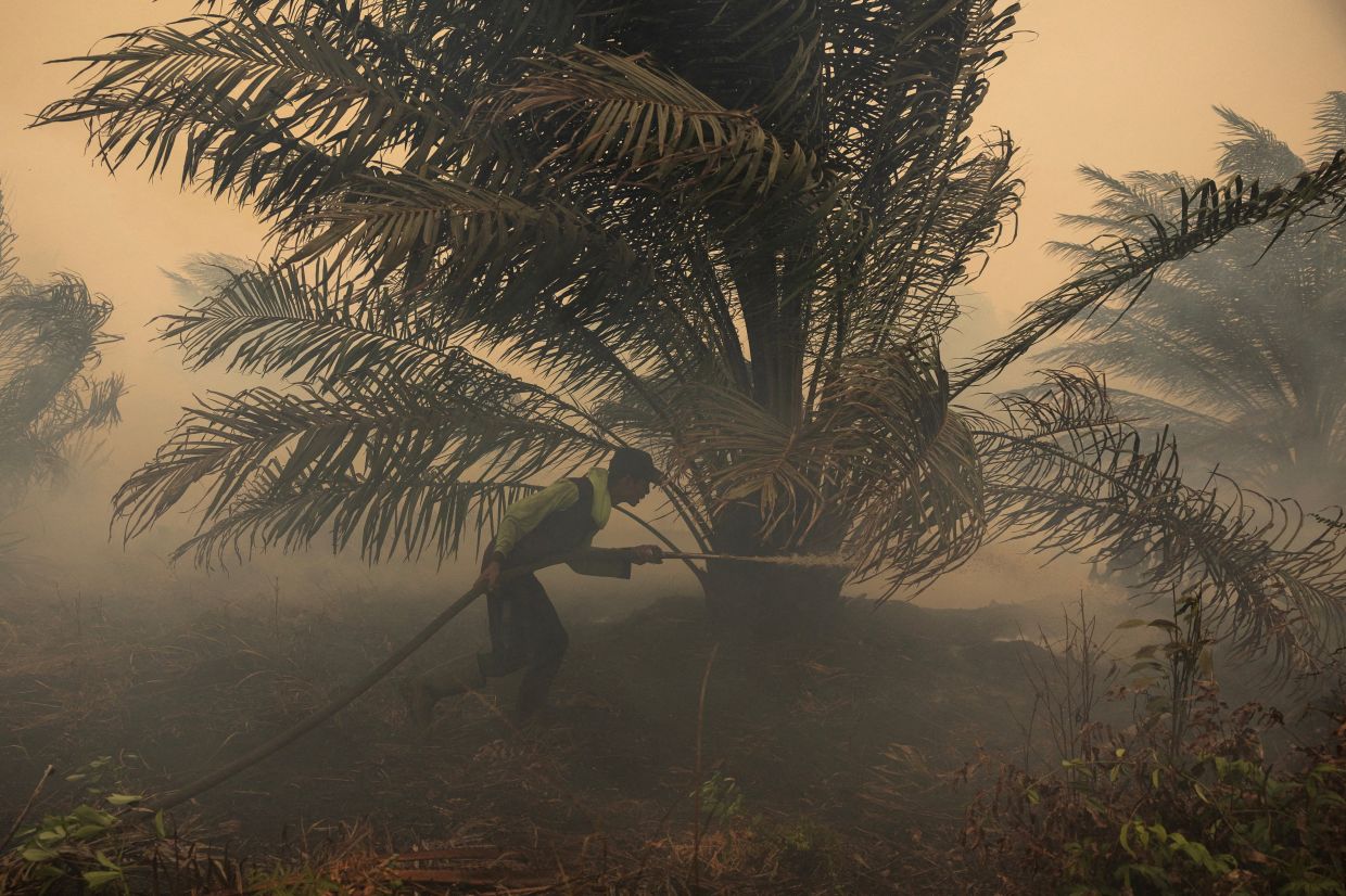 Japan deploys helicopters as hazardous haze engulfs Kalimantan, ISPU exceeds 1,000