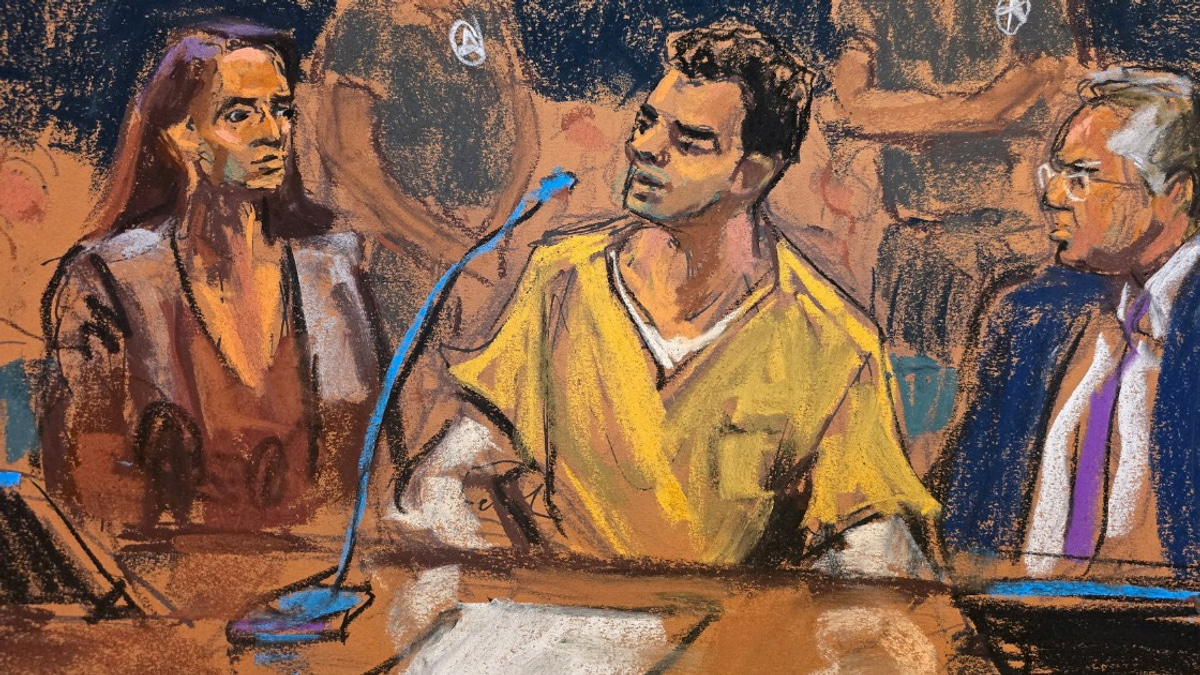 From Ordinary Life to Alleged Killer: Mangione's Rage Over US Healthcare System