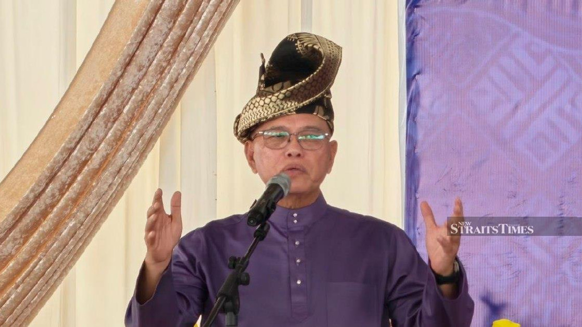 Negri Sembilan Election Signals Voter Focus on Governance Over Identity Politics, Says Umno Deputy