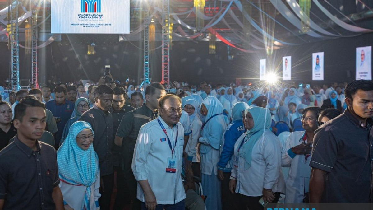 Anwar Reaffirms Commitment to UMNO-BN Coalition, Prioritises Stability Over Political Grievance