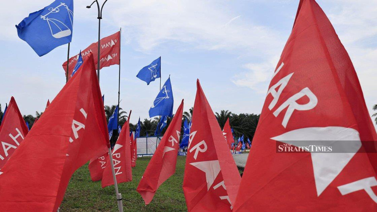 Pakatan Harapan must prove reform agenda delivers results after Johor setback