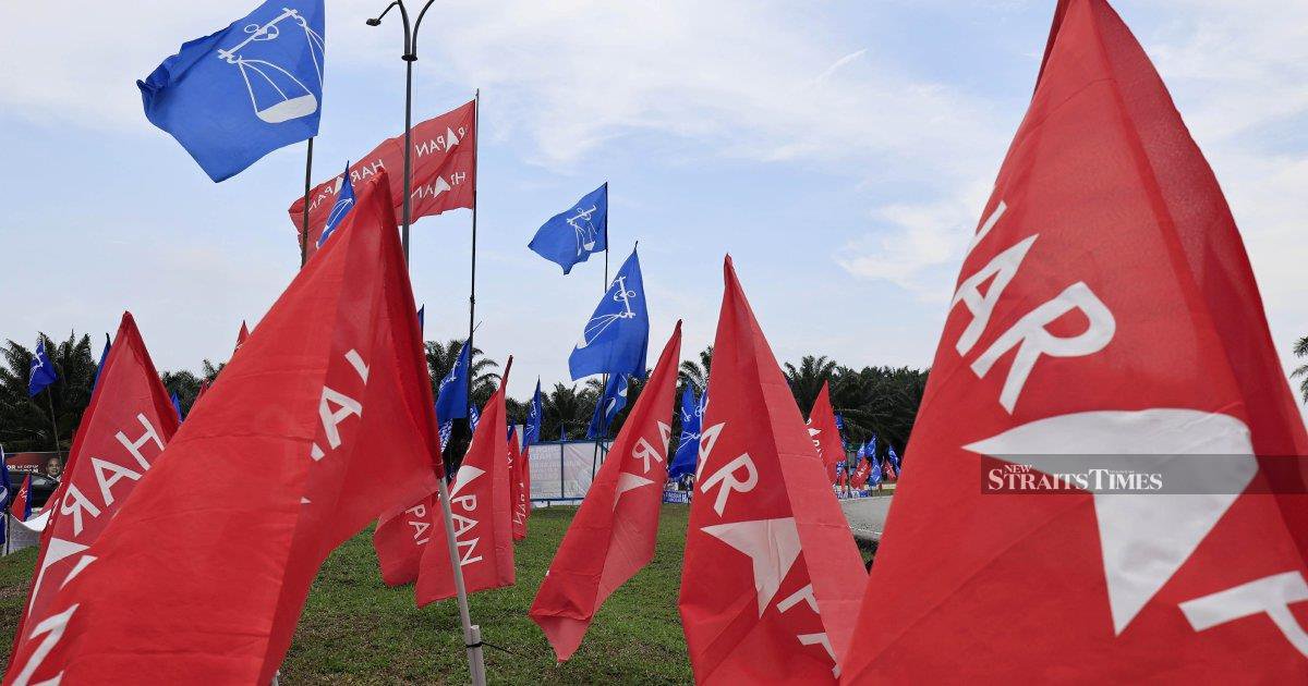 Pakatan Harapan must prove reform agenda delivers results after Johor setback