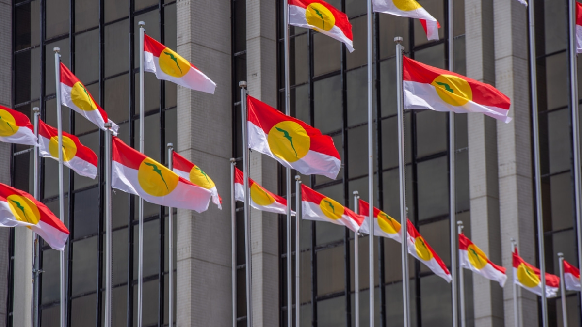 Perlis Umno Set to Fight Solo in Next General Election