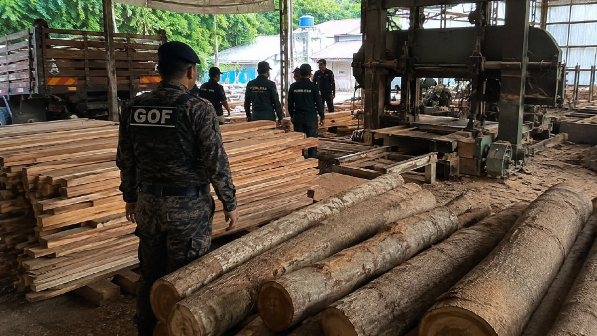 RM640,510 Timber and Equipment Haul in Terengganu Sawmill Crackdown