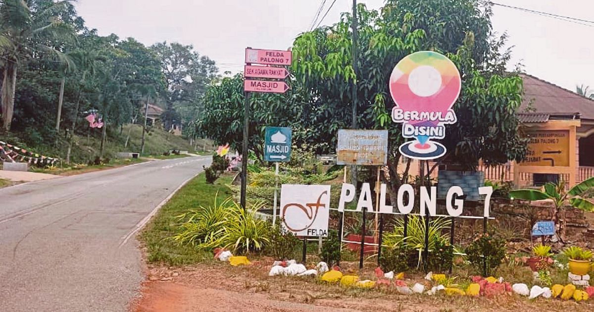 MACC Probes RM80mil Felda Palong 7 Palm Replanting Project Over Suspected Misconduct