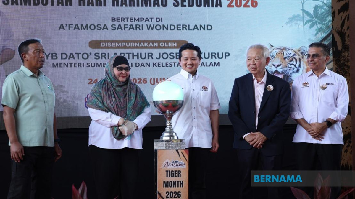 Malaysia's Malayan Tiger Population Bouncing Back Thanks to BP3 Conservation Drive