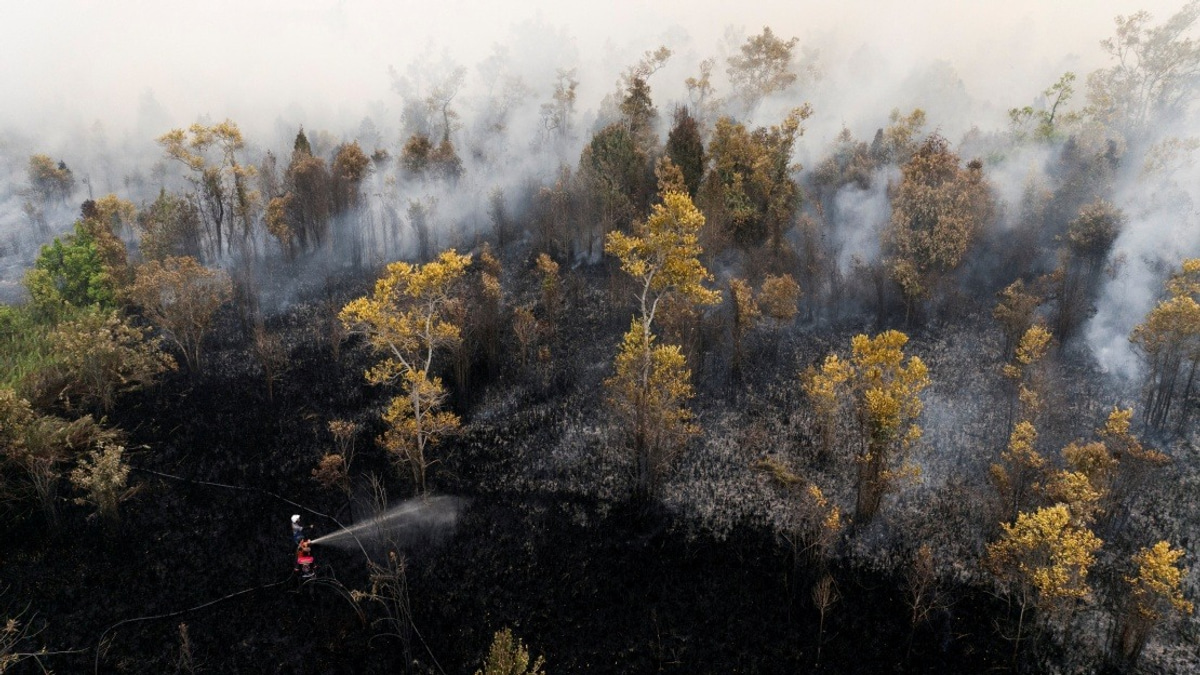 Haze Grounds All Flights at Singkawang Airport as Kalimantan Fires Intensify