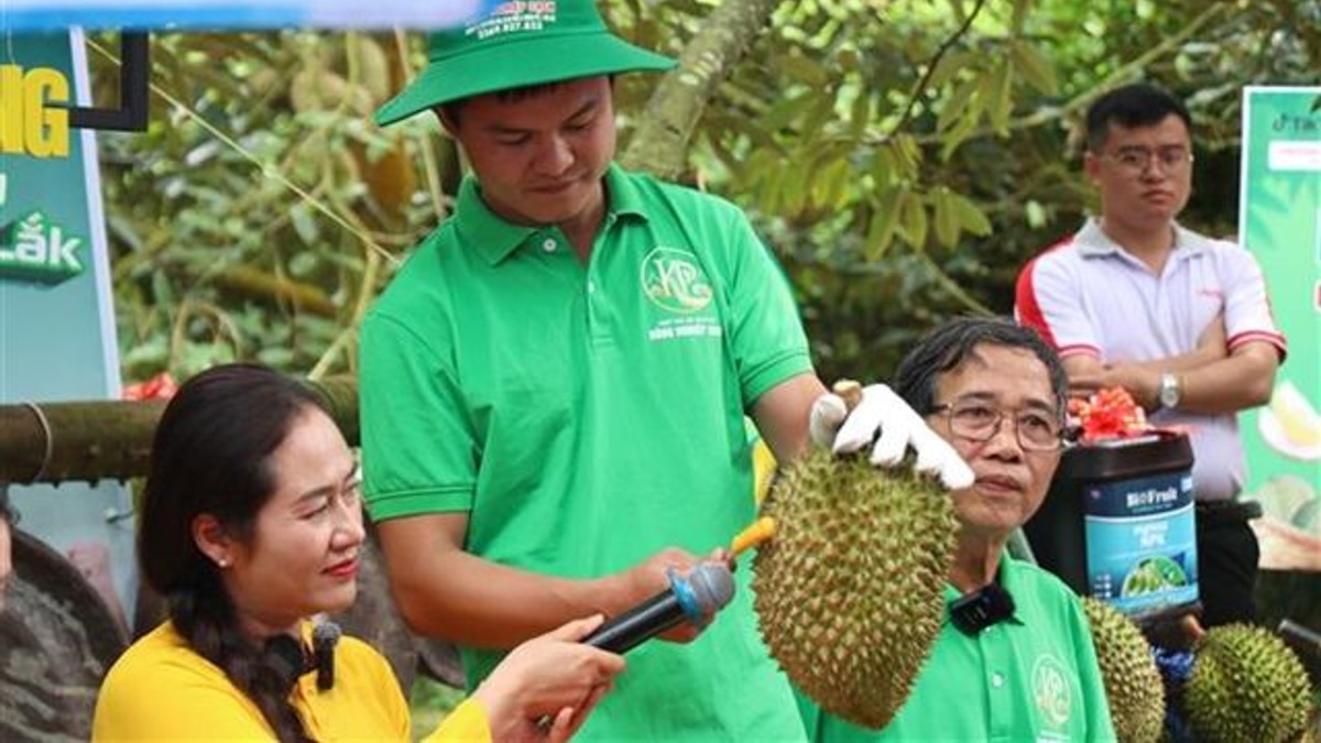 Vietnam's Durian Boom Exposes Certification System Gaps as Corruption Probe Widens