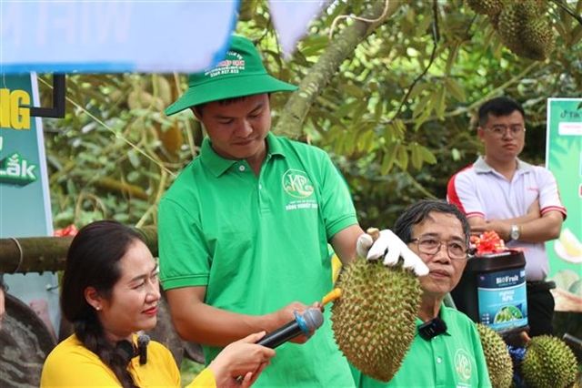 Vietnam's Durian Boom Exposes Certification System Gaps as Corruption Probe Widens