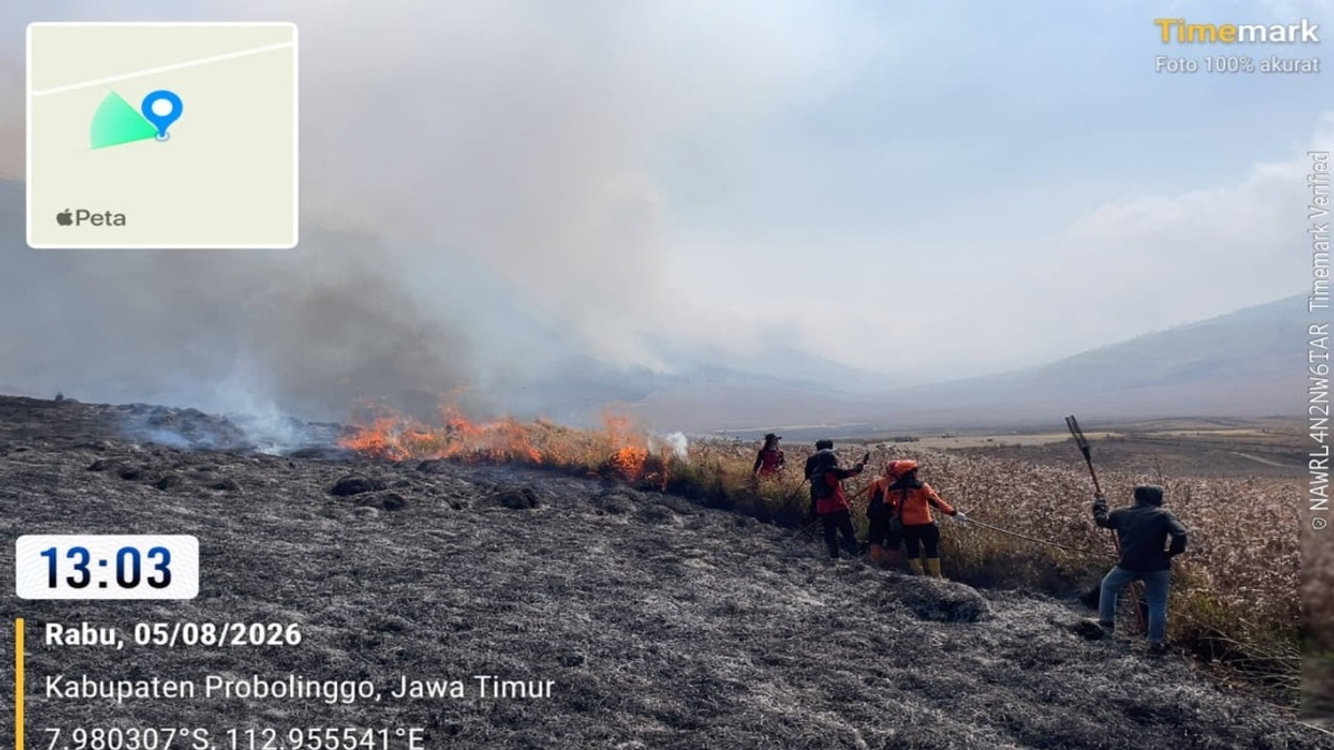 Indonesian Authorities Deploy Helicopters to Combat Mount Bromo Wildfire Affecting 60 Hectares