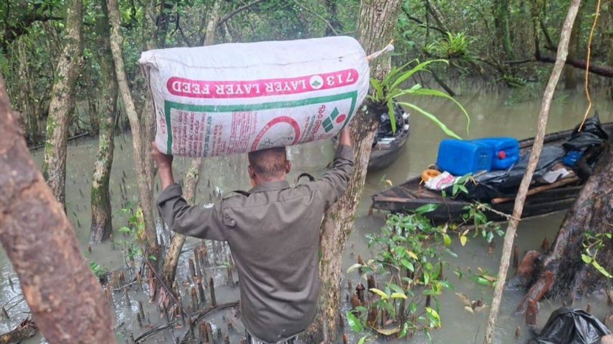 Bangladesh authorities dismantle illegal poison-based shrimp operation in Sundarbans World Heritage Site