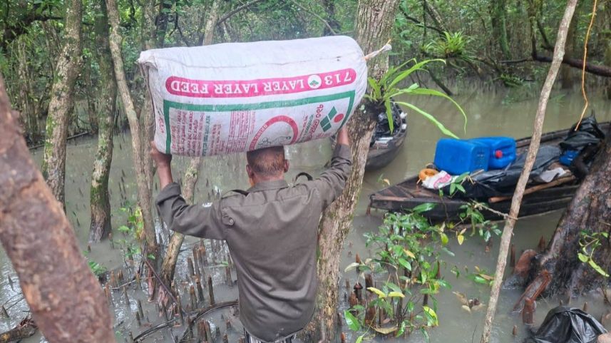 Bangladesh authorities dismantle illegal poison-based shrimp operation in Sundarbans World Heritage Site