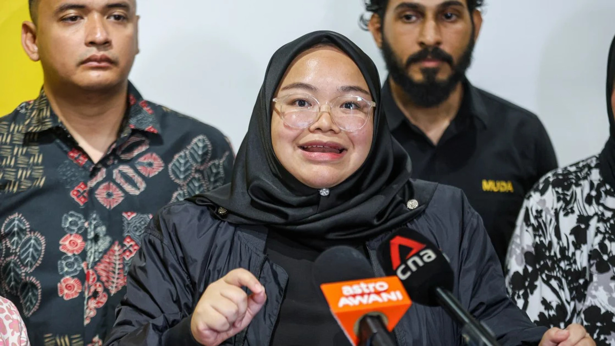 Muda maintains warm Johor ties with Bersatu, but stops short of formal election pact