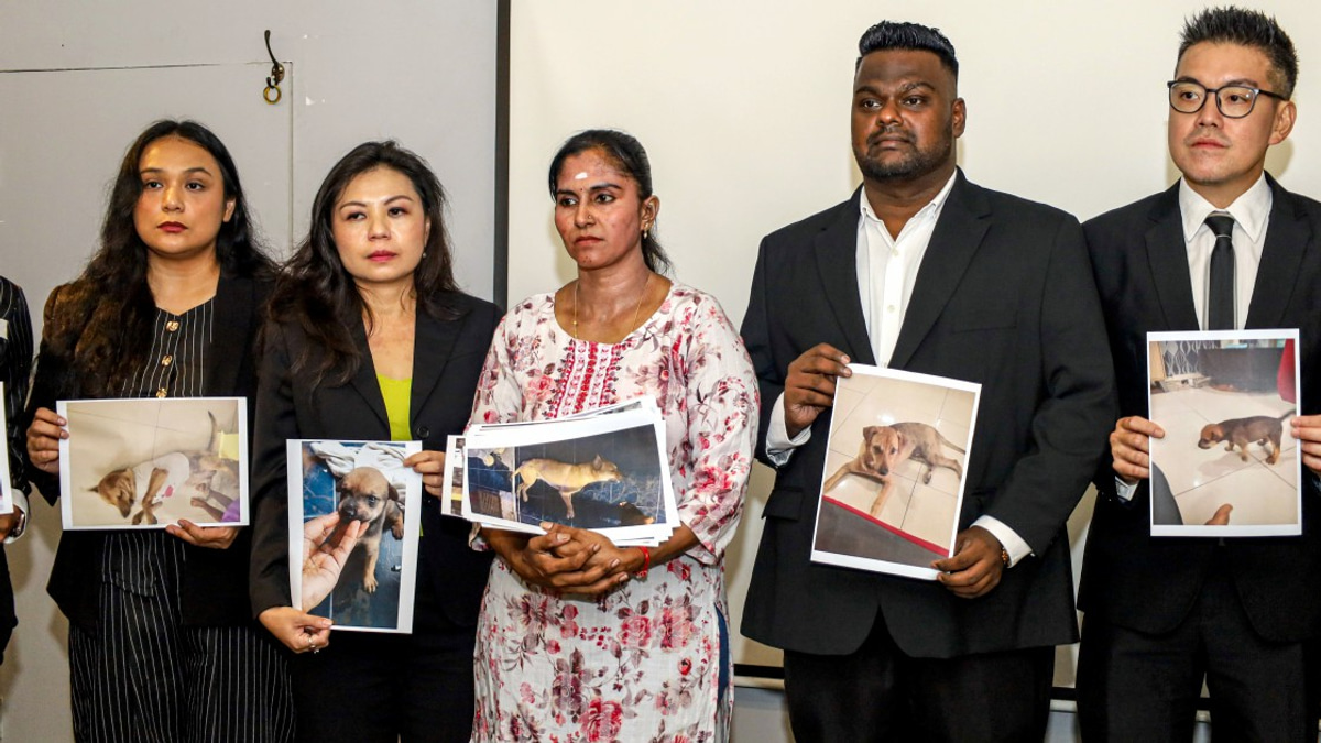 Death of Pet Dog Triggers Review of Animal Capture Procedures in Selangor