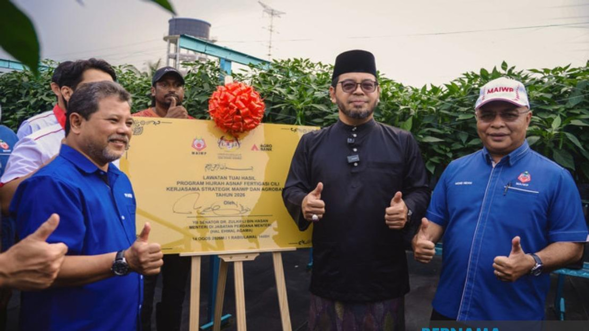 MAIWP Scales Up Chilli Farming Initiative for Asnaf Beneficiaries