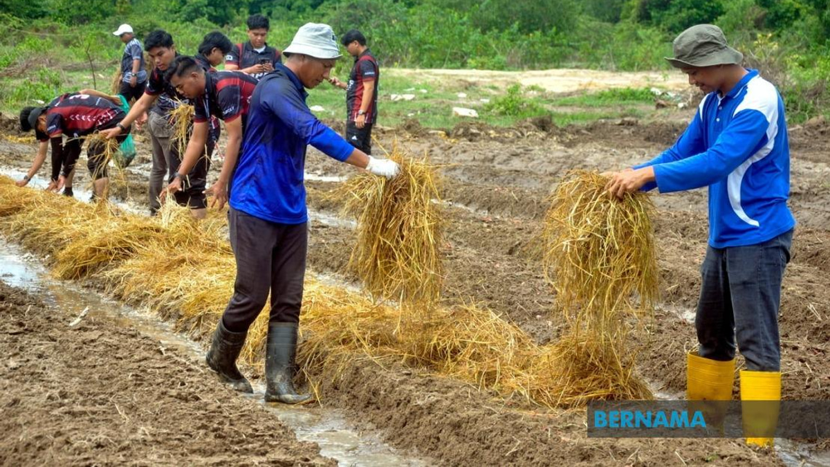 Agricultural TVET Employment Climbs to 76%, But Sector Still Lags National Average