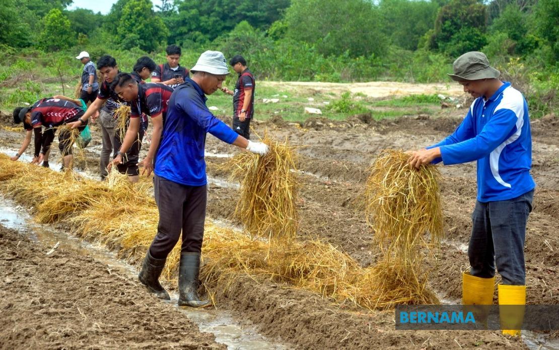 Agricultural TVET Employment Climbs to 76%, But Sector Still Lags National Average