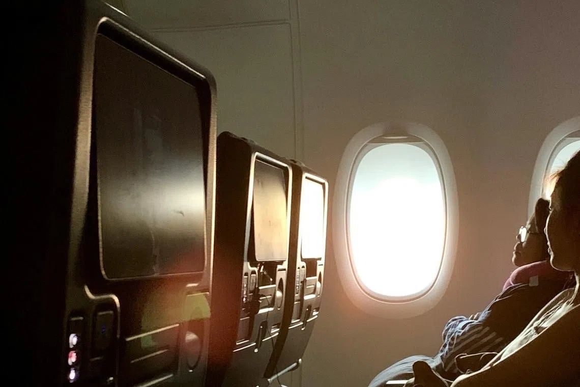 South Korean Teen Petitions Government Over Unfiltered In-Flight Movie Content