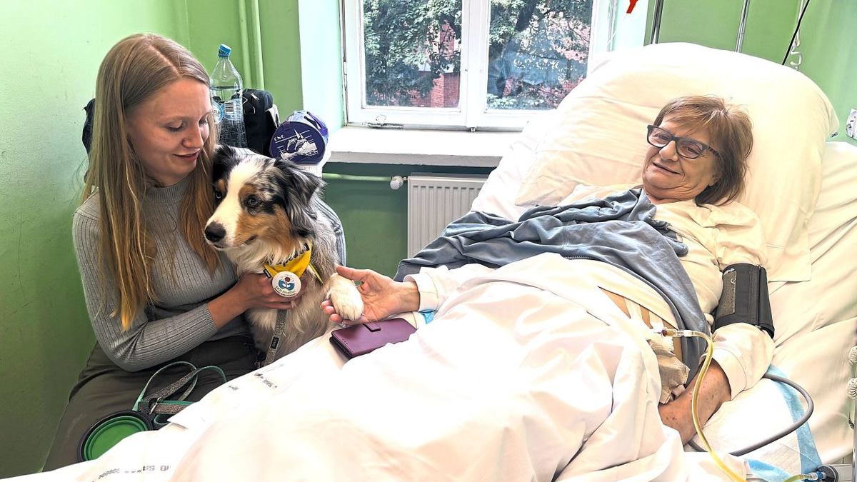 Poland moves to enshrine pet visitation rights in hospice care as doctors highlight healing power for terminally ill