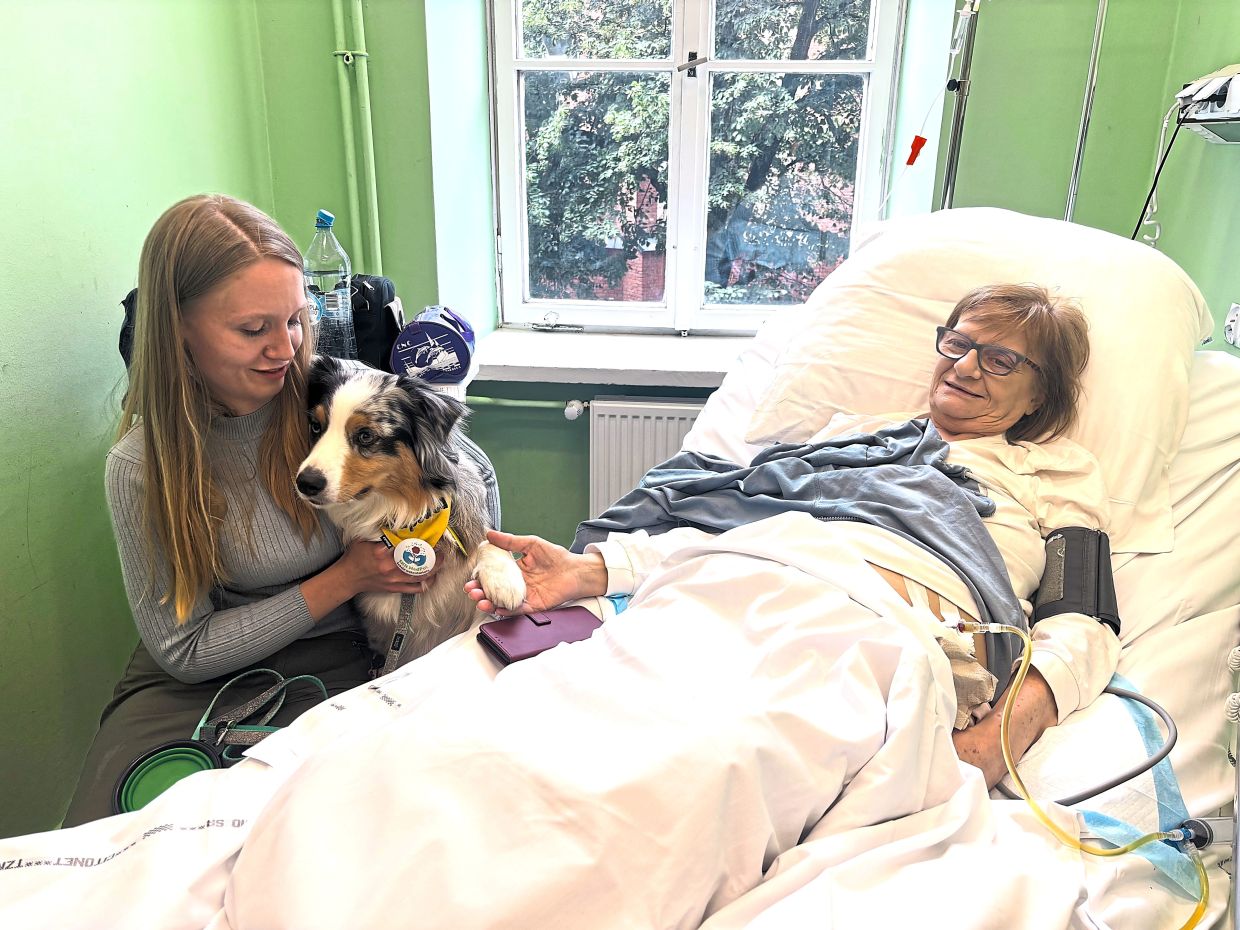 Poland moves to enshrine pet visitation rights in hospice care as doctors highlight healing power for terminally ill