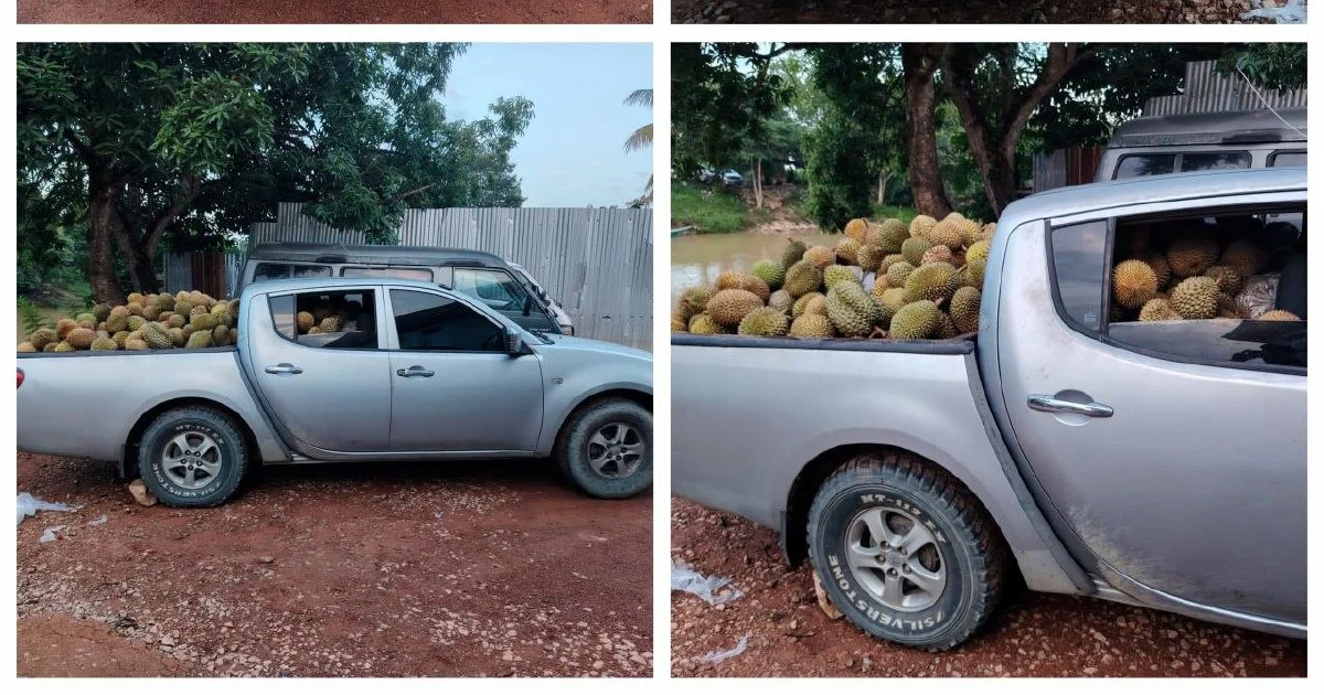 Part-Time Driver Arrested With 700kg of Smuggled Durians in Kelantan