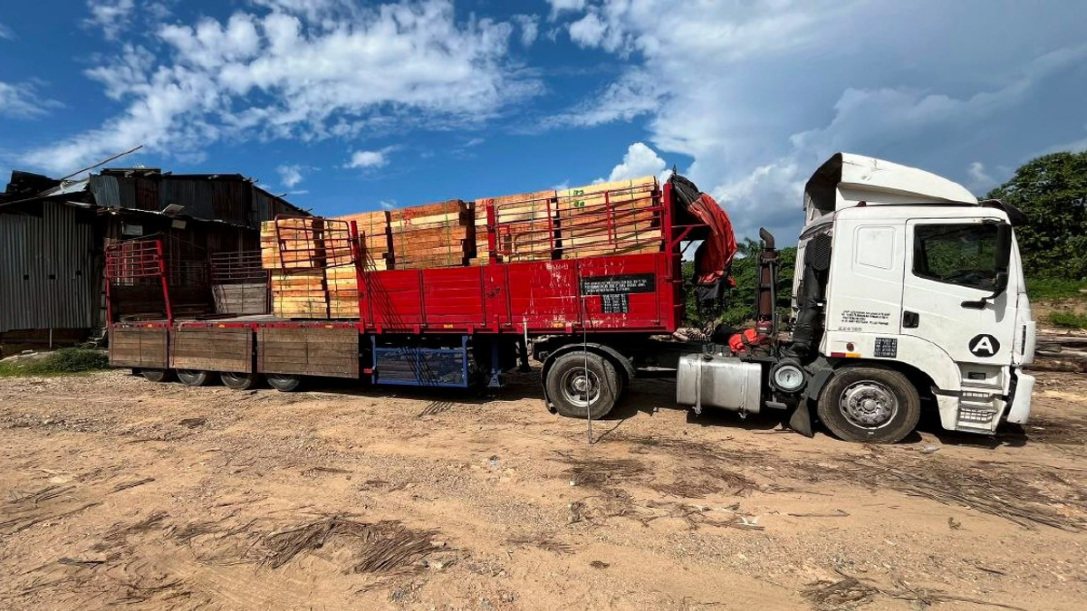 Five arrested in major illegal timber crackdown; RM2.32mil haul seized near Kuala Krai