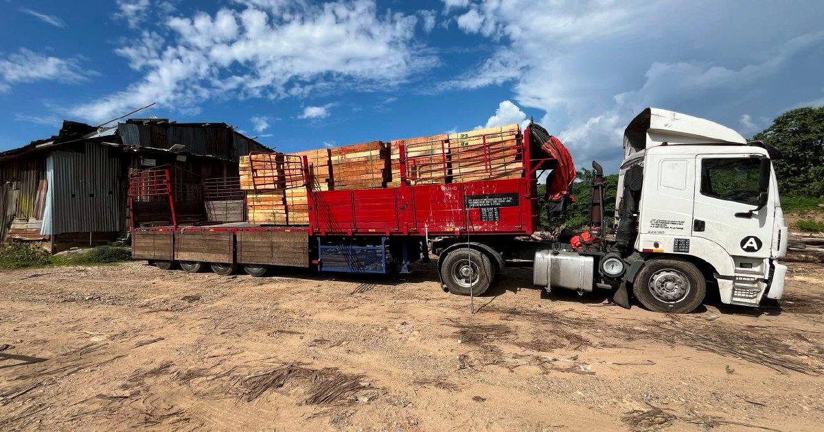 Five arrested in major illegal timber crackdown; RM2.32mil haul seized near Kuala Krai