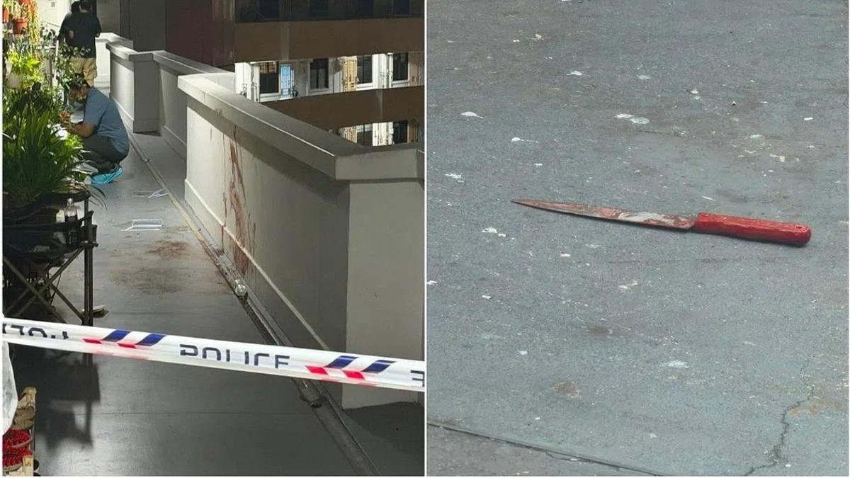 Singapore Man Charged With Murder of Longstanding Neighbour in Lengkok Bahru Dispute