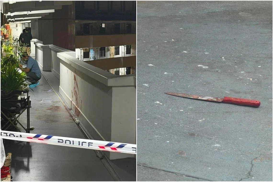 Singapore Man Charged With Murder of Longstanding Neighbour in Lengkok Bahru Dispute