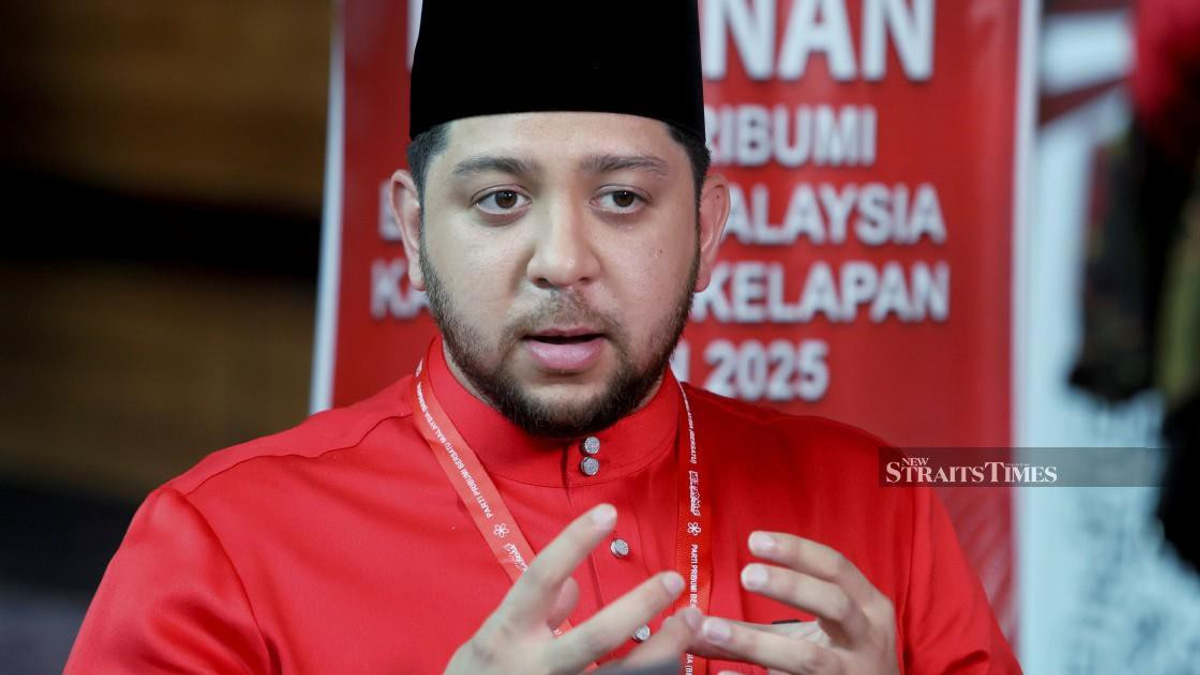 Bersatu Youth calls for swift prosecution of TH mismanagement figures