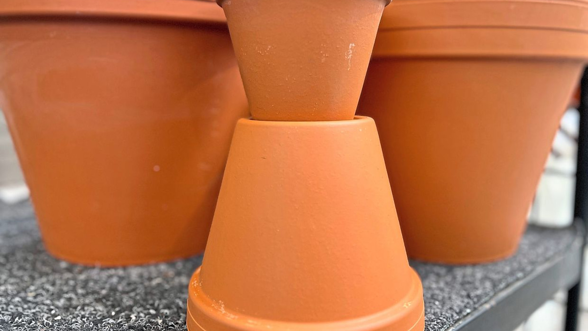 Protecting Malaysian Gardens: A Practical Guide to Reducing Microplastics in Soil