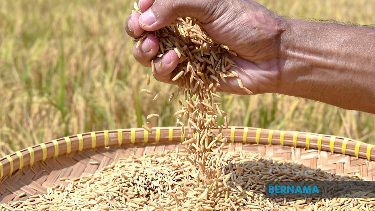Indonesia Pursues Rice Export Agreements with Malaysia and Singapore Amid Price Negotiations