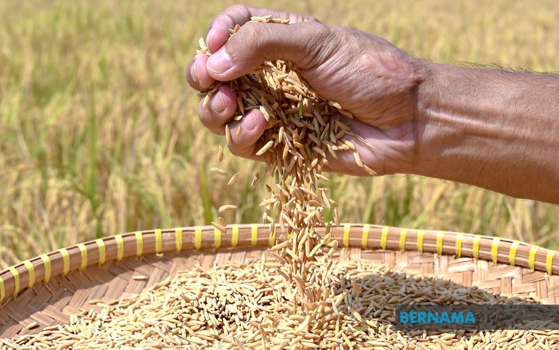 Indonesia Pursues Rice Export Agreements with Malaysia and Singapore Amid Price Negotiations