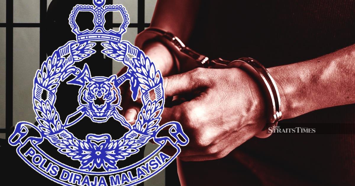 Three detained as wildlife enforcement teams seize six protected birds valued at RM33,000