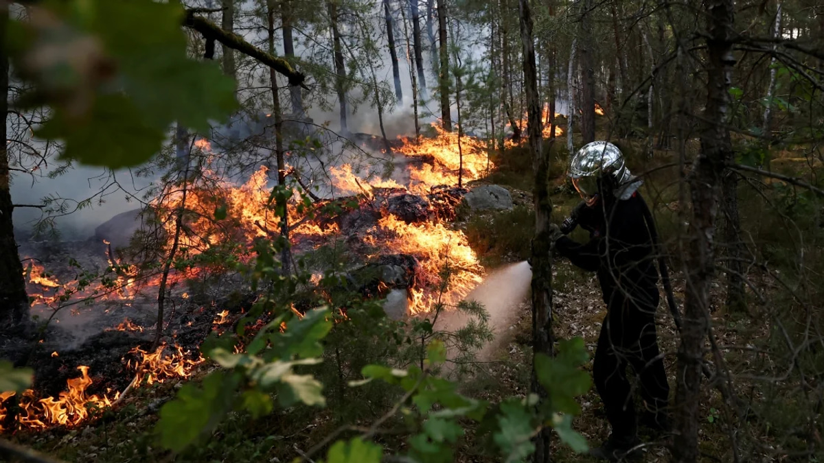 Major wildfire destroys over 1,300 hectares in historic forest near Paris; two arrested for suspected arson