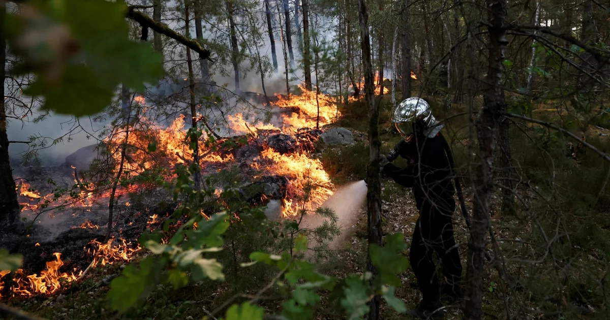 Major wildfire destroys over 1,300 hectares in historic forest near Paris; two arrested for suspected arson