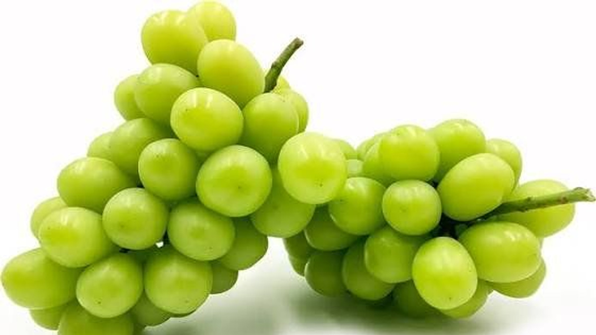 Japanese man arrested for RM36,000 grape heist in Okayama Prefecture