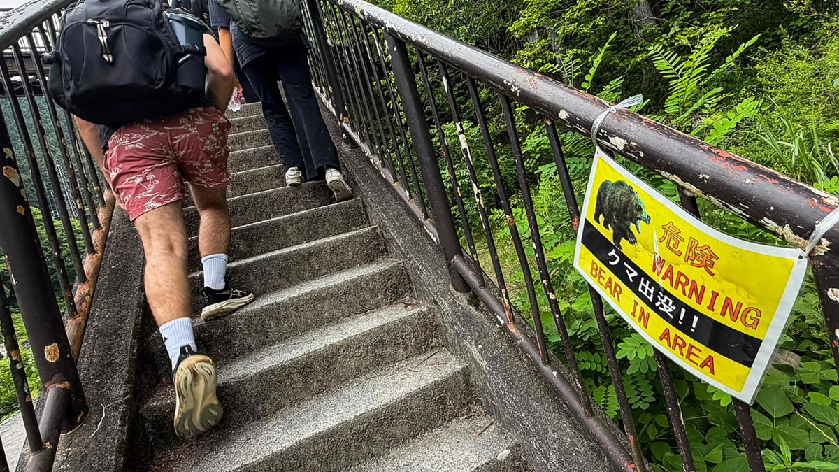 Japan deploys wildlife cameras across mountains as bear attacks intensify