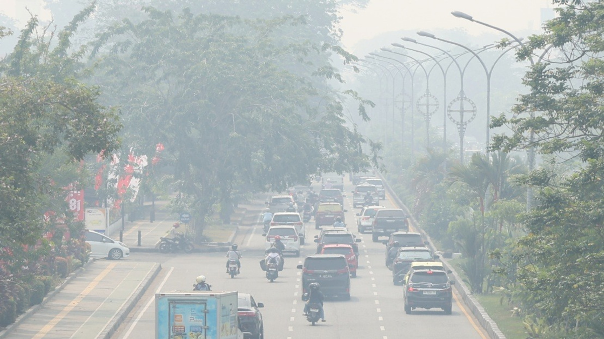 Indonesia's Air Pollution Crisis: Central Kalimantan Chokes as Hazardous Index Soars to 573