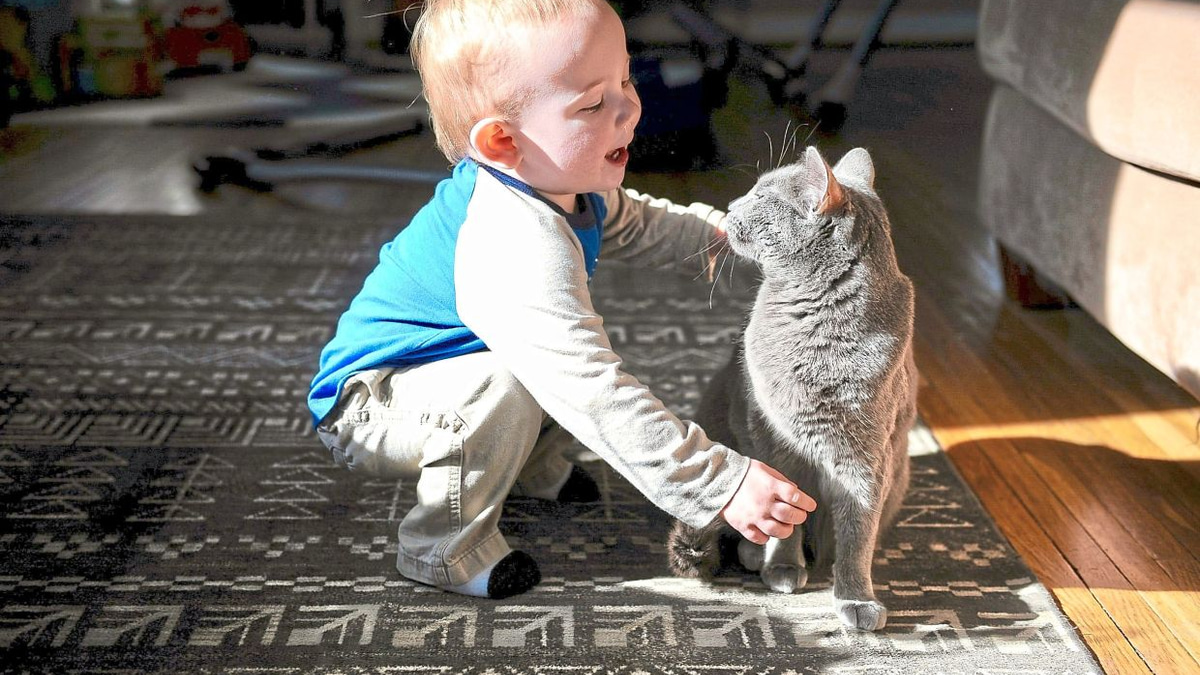 Swedish Study Finds No Link Between Household Cats and Worsened Asthma in Children