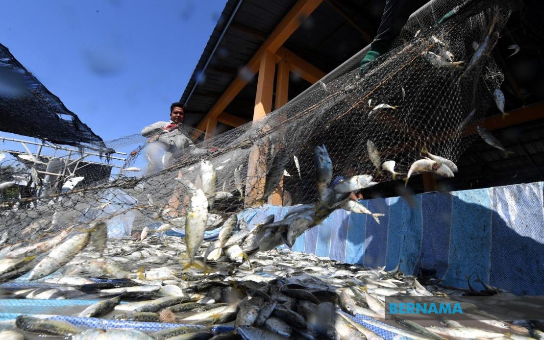 Government Invests RM10 Million in Fishermen Housing Programme Nationwide