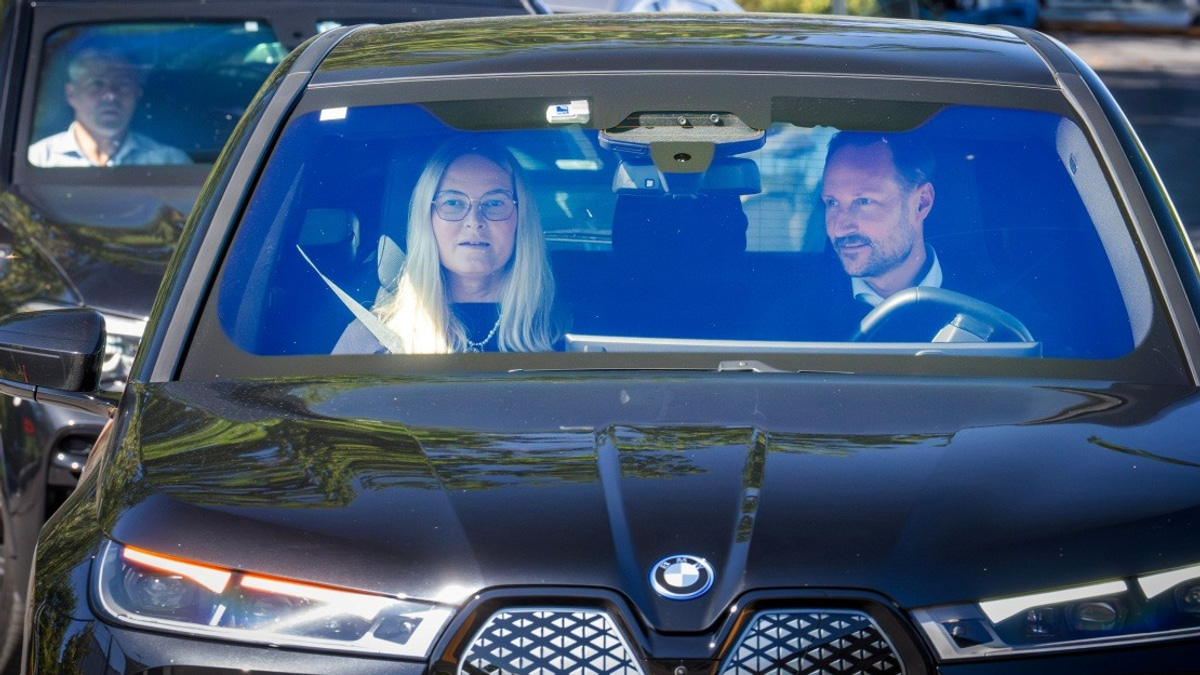 Norwegian King Harald's Health Takes Critical Turn, Palace Confirms