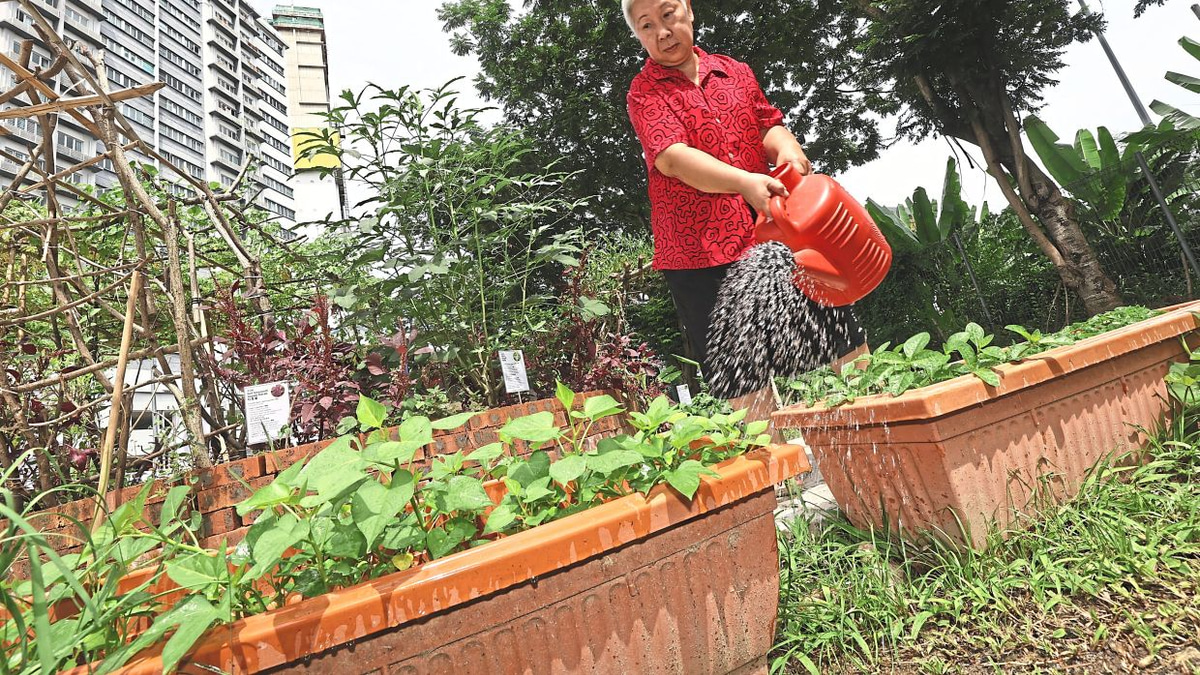 From Wasteland to Wellness: How a Kuala Lumpur Community Garden Is Transforming Lives