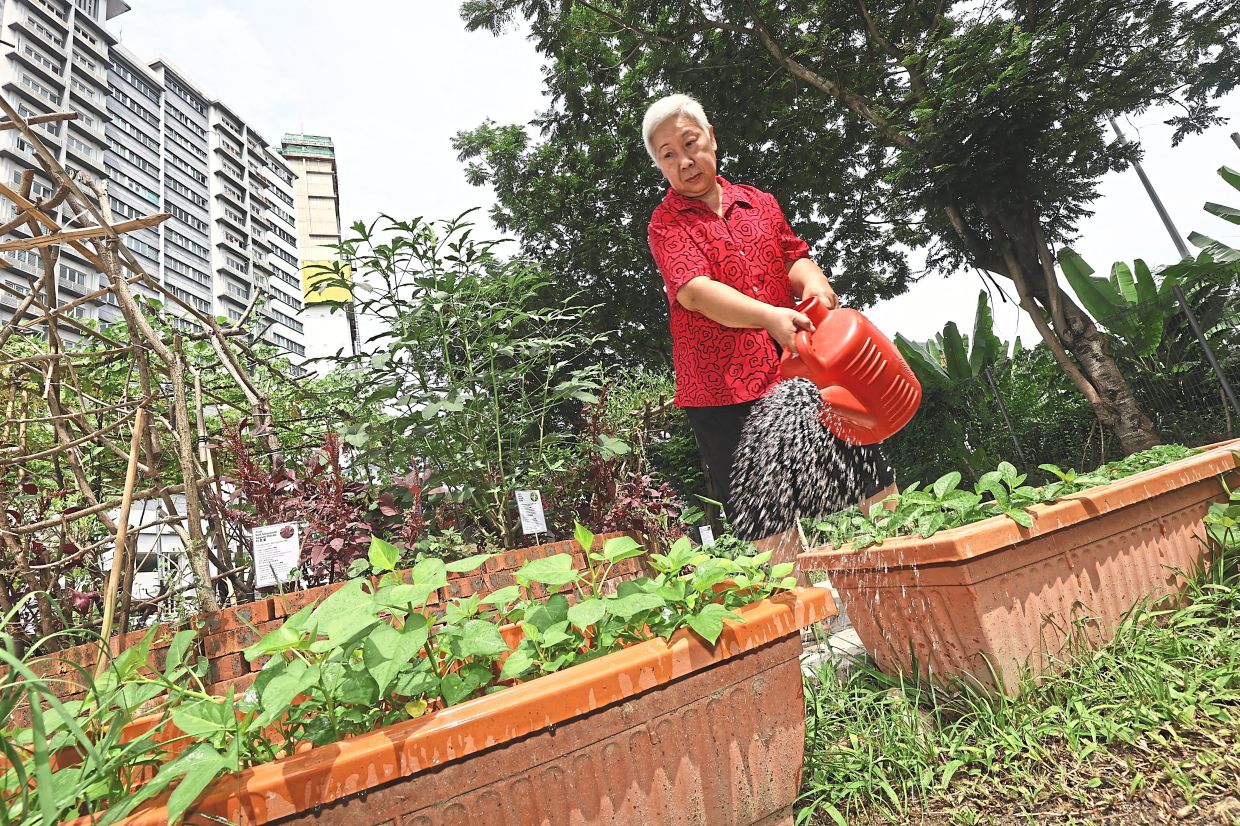 From Wasteland to Wellness: How a Kuala Lumpur Community Garden Is Transforming Lives