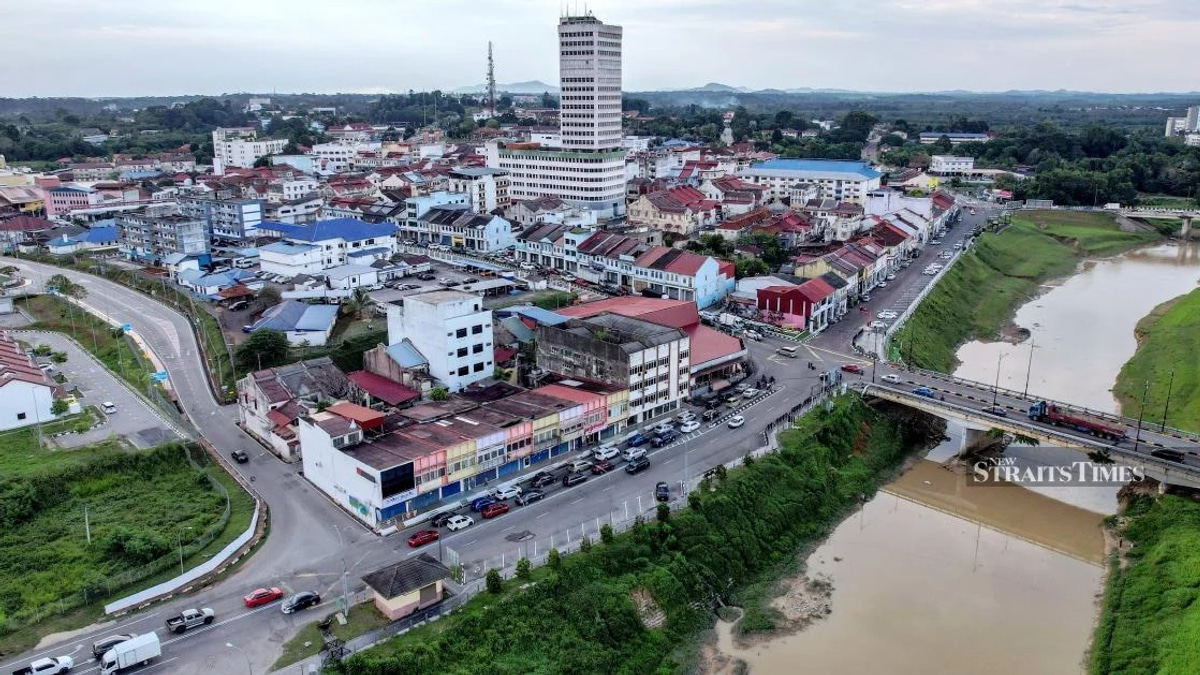 Johor voters warned of digital sabotage as fake accounts target election campaign