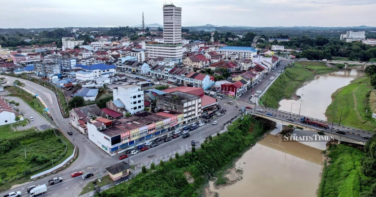 Johor voters warned of digital sabotage as fake accounts target election campaign