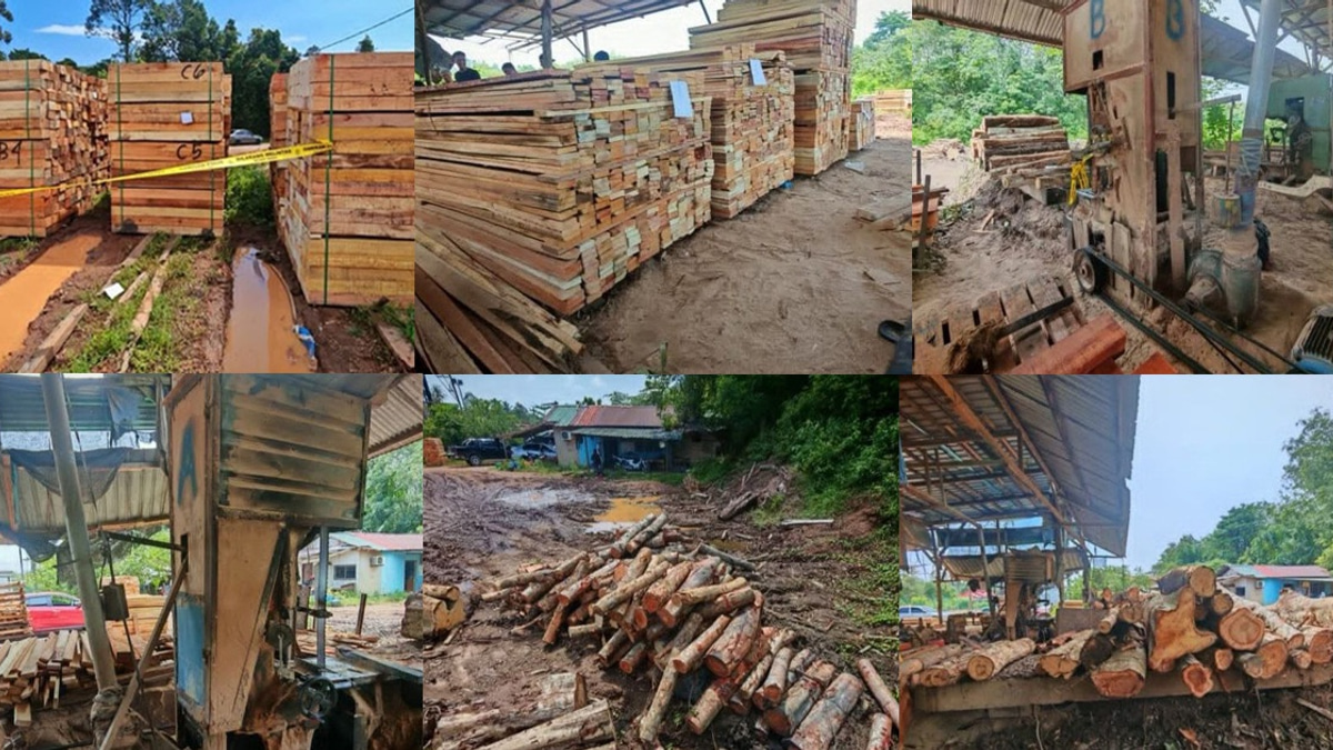 Four arrested in Kelantan timber operation crackdown with RM600,000 in goods seized