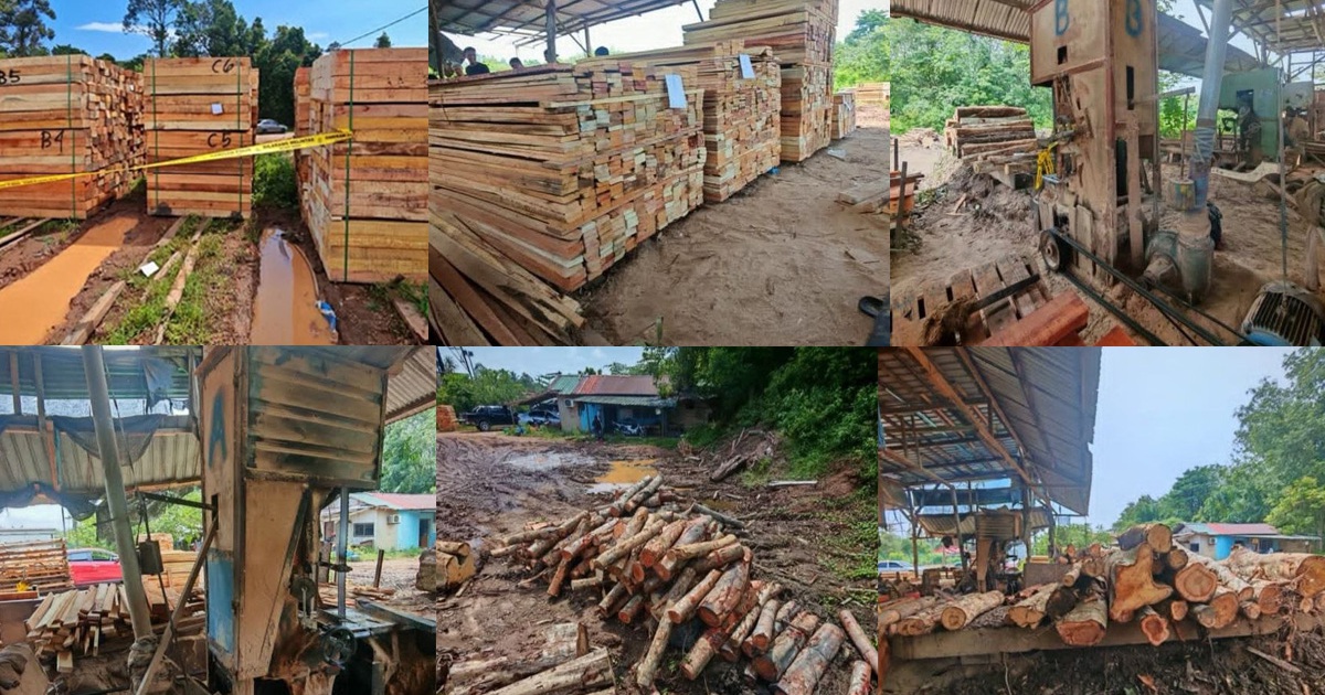 Four arrested in Kelantan timber operation crackdown with RM600,000 in goods seized