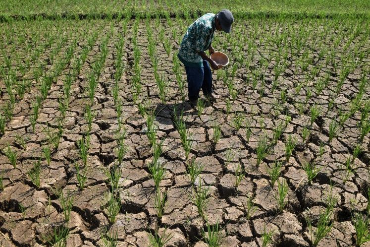 Indonesia's Expanding Drought Crisis Tests Government Response as El Niño Intensifies